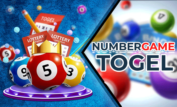 Riview Akun Togel Pemula